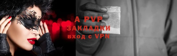 прущие грибы Беломорск