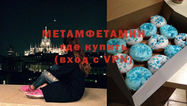 прущие грибы Беломорск
