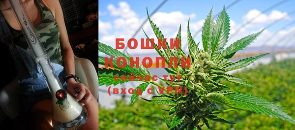 ГАЛЛЮЦИНОГЕННЫЕ ГРИБЫ Белоозёрский