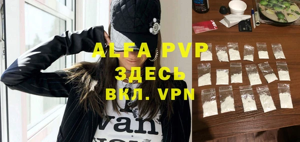 прущие грибы Беломорск