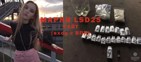прущие грибы Беломорск